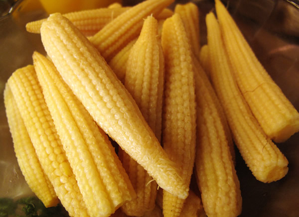 17274540980_600x436.jpg
